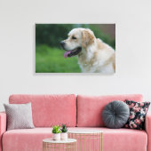 Golden Retriever Headshot 2 Canvas Afdruk (Insitu (Woonkamer))