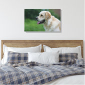 Golden Retriever Headshot 2 Canvas Afdruk (Insitu (Slaapkamer))
