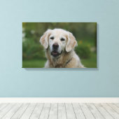 Golden Retriever Headshot 2 Canvas Afdruk (Insitu (Houten vloer))