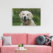 Golden Retriever Headshot 2 Canvas Afdruk (Insitu (Woonkamer))
