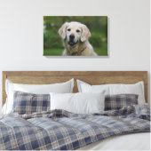 Golden Retriever Headshot 2 Canvas Afdruk (Insitu (Slaapkamer))