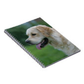 Golden Retriever Headshot 2 Notitieboek (Rechterzijde)