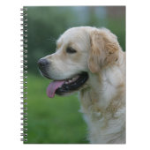 Golden Retriever Headshot 2 Notitieboek (Voorkant)