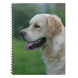 Golden Retriever Headshot 2 Notitieboek