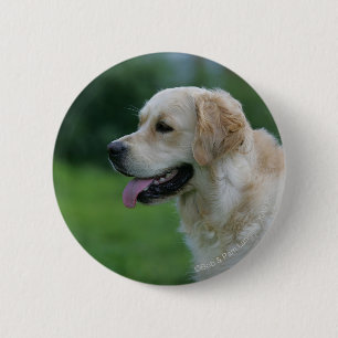 Golden Retriever Headshot 2 Ronde Button 5,7 Cm