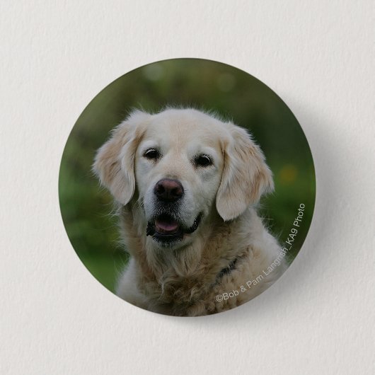 Golden Retriever Headshot 2 Ronde Button 5,7 Cm (Voorkant)