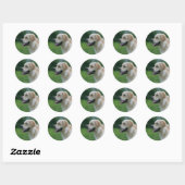 Golden Retriever Headshot 2 Ronde Sticker (Vel)