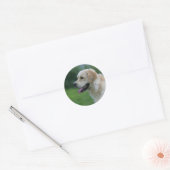 Golden Retriever Headshot 2 Ronde Sticker (Envelop)