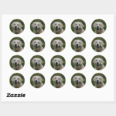 Golden Retriever Headshot 2 Ronde Sticker (Vel)