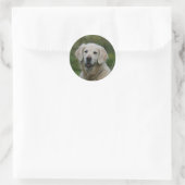 Golden Retriever Headshot 2 Ronde Sticker (Tas)