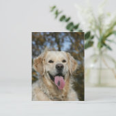 Golden Retriever Headshot 3 Briefkaart (Staand voorkant)