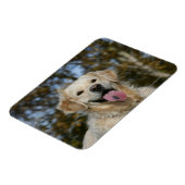 Golden Retriever Headshot 3 Magneet (Linkerzijde)