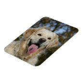 Golden Retriever Headshot 3 Magneet (Linkerzijde)