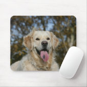 Golden Retriever Headshot 3 Muismat (Met muis)