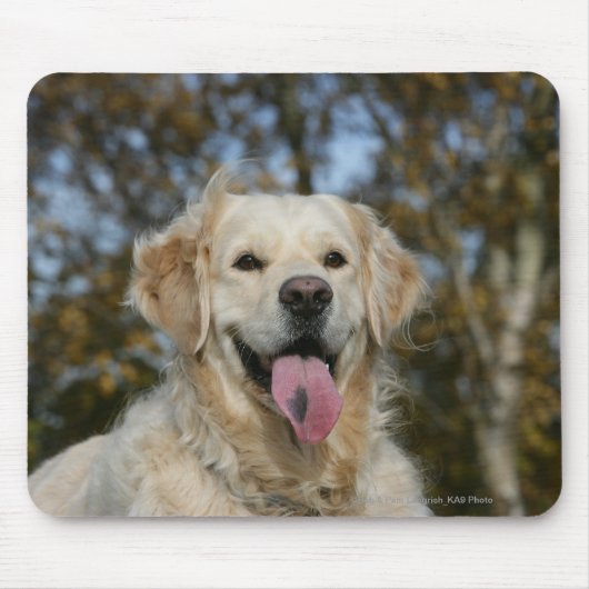Golden Retriever Headshot 3 Muismat (Voorkant)