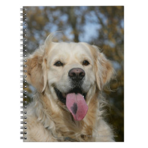 Golden Retriever Headshot 3 Notitieboek