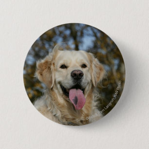 Golden Retriever Headshot 3 Ronde Button 5,7 Cm