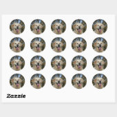 Golden Retriever Headshot 3 Ronde Sticker (Vel)
