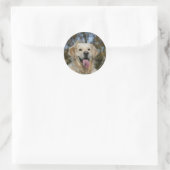Golden Retriever Headshot 3 Ronde Sticker (Tas)