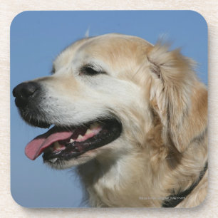 Golden Retriever Headshot 4 Bier Onderzetter