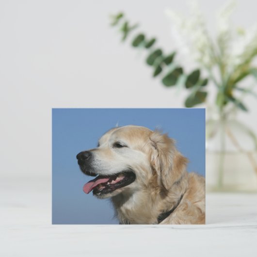 Golden retriever Headshot 4 Briefkaart (Staand voorkant)
