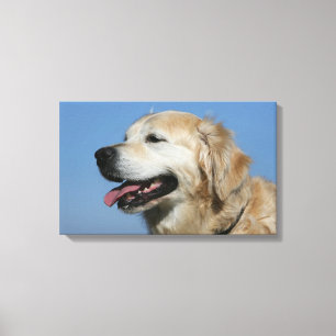 Golden Retriever Headshot 4 Canvas Afdruk