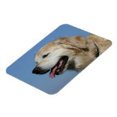 Golden Retriever Headshot 4 Magneet (Linkerzijde)