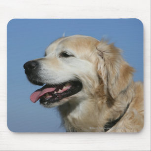 Golden Retriever Headshot 4 Muismat