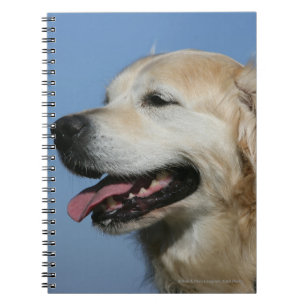Golden Retriever Headshot 4 Notitieboek