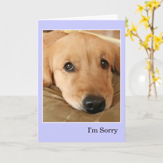 Golden Retriever, het spijt me dat ik me verontsch Kaart (Gele Bloem)
