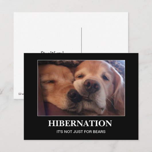 Golden Retriever Hibernationenwarm Briefkaart (Voorkant / Achterkant)