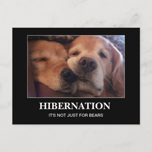 Golden Retriever Hibernationenwarm Briefkaart (Voorkant)