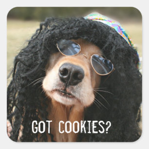 Golden Retriever Hippie Got Cookies Vierkante Sticker