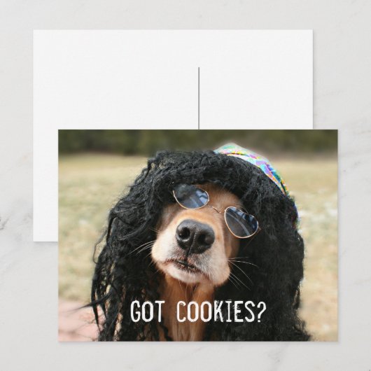 Golden Retriever Hippie "Heb koekjes?" Briefkaart (Voorkant / Achterkant)