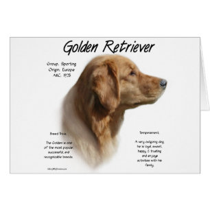 Golden Retriever History Design