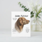 Golden Retriever History Design Briefkaart (Staand voorkant)