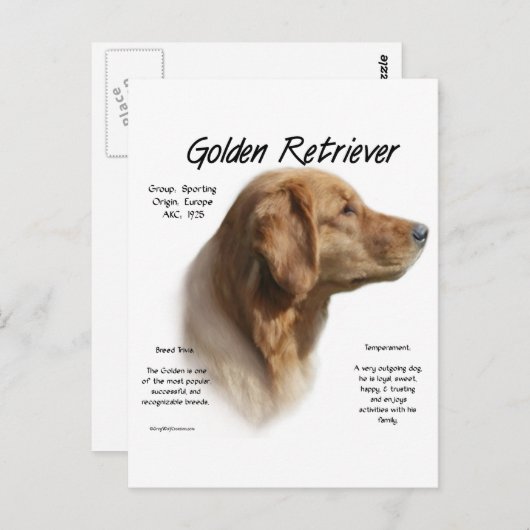 Golden Retriever History Design Briefkaart (Voorkant / Achterkant)
