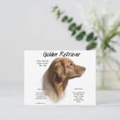 Golden Retriever History Design Briefkaart (Staand voorkant)