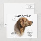 Golden Retriever History Design Briefkaart (Voorkant / Achterkant)