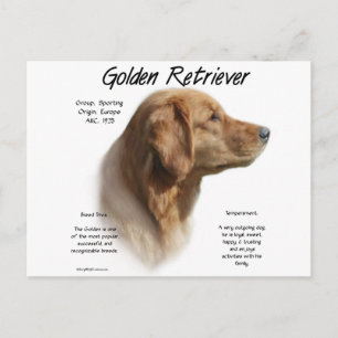 Golden Retriever History Design Briefkaart