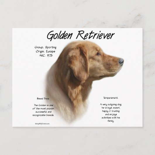 Golden Retriever History Design Briefkaart (Voorkant)