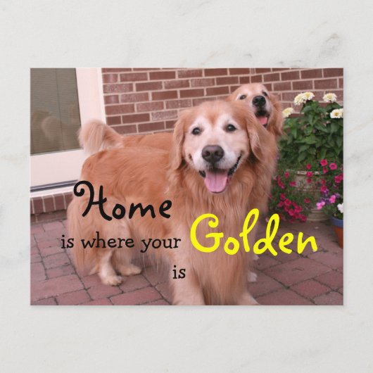 Golden Retriever Home Quote Briefkaart (Voorkant)