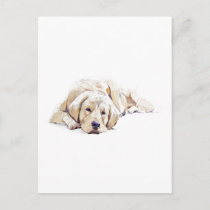 Golden Retriever Hond Ansichtkaart Hond Liefhebber Briefkaart