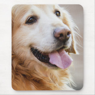 Golden Retriever, Hond, Gelukkige Hond Muismat