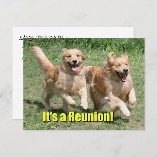 Golden Retriever Hond Het Is Een Reünie Aankondigingskaart (Voorkant / Achterkant)