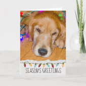 Golden Retriever hond in kerstverlichting Kaart (Voorkant)