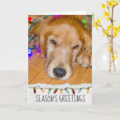 Golden Retriever hond in kerstverlichting Kaart (Gele Bloem)