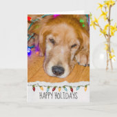 Golden Retriever hond in kerstverlichting Kaart (Gele Bloem)
