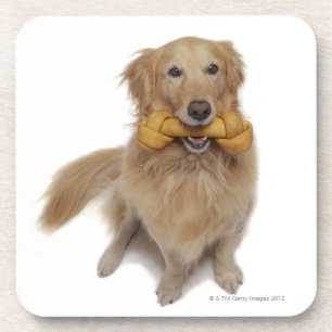 Golden Retriever Hond met been Bier Onderzetter