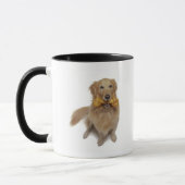 Golden Retriever Hond met been Mok (Links)